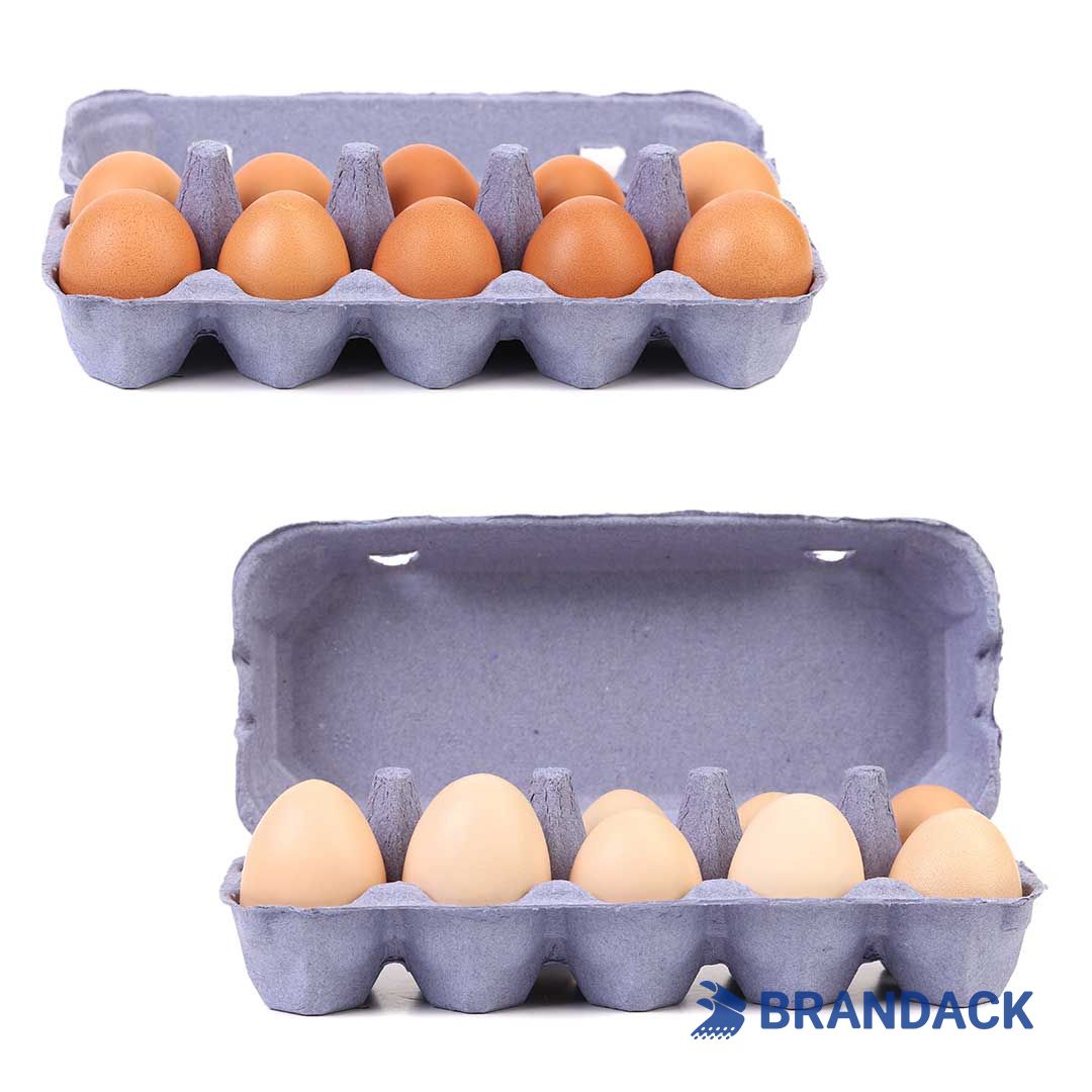 Custom Printed Egg Box Cartons Bulk with Flat Tray Packaging