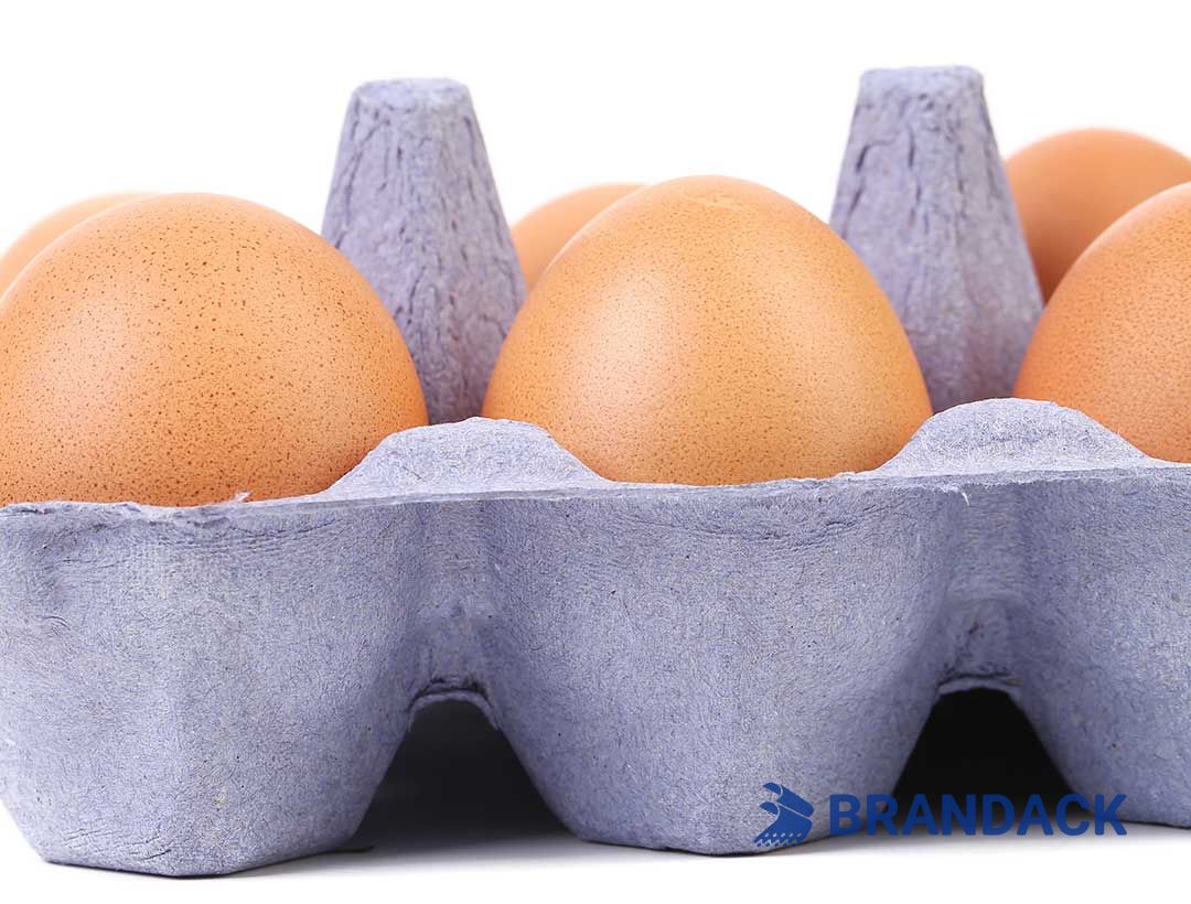 Custom Printed Egg Box Cartons Bulk with Flat Tray Packaging