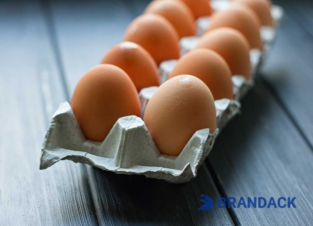 Custom Printed Egg Box Cartons Bulk with Flat Tray Packaging