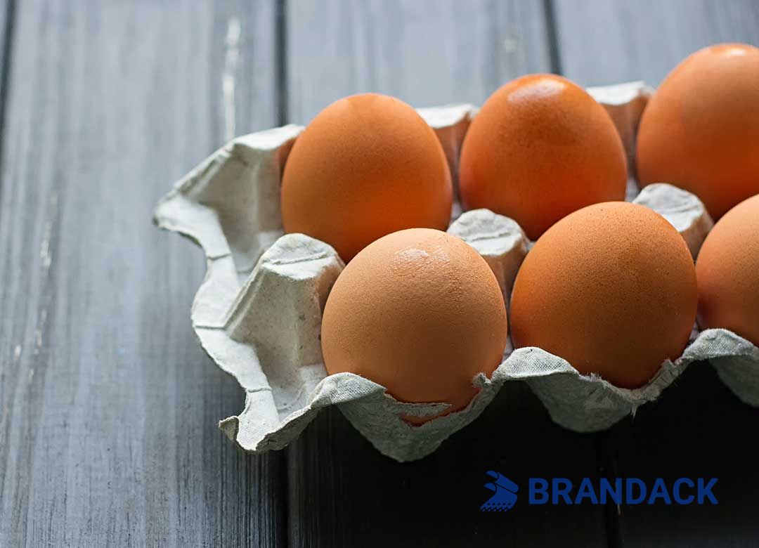 Custom Printed Egg Box Cartons Bulk with Flat Tray Packaging