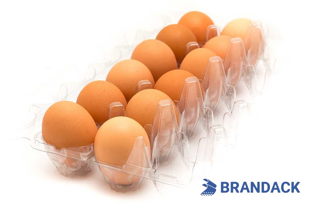 Custom Printed Egg Box Cartons Bulk with Flat Tray Packaging