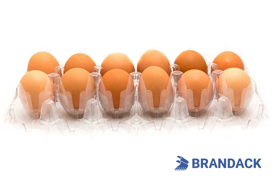 Custom Printed Egg Box Cartons Bulk with Flat Tray Packaging