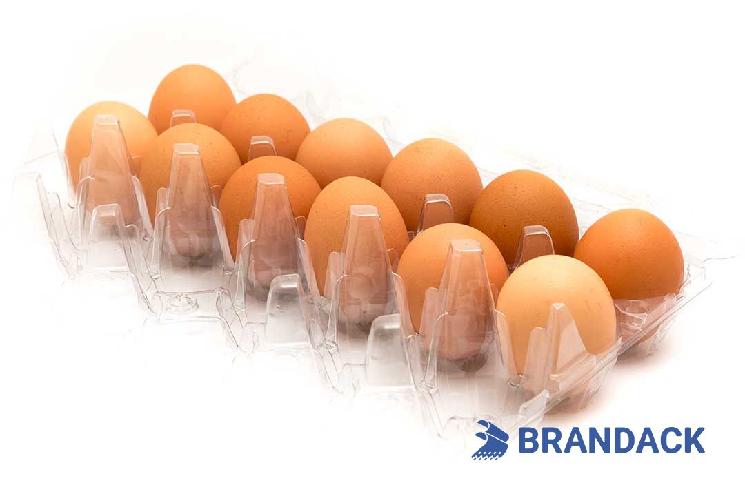 Custom Printed Egg Box Cartons Bulk with Flat Tray Packaging