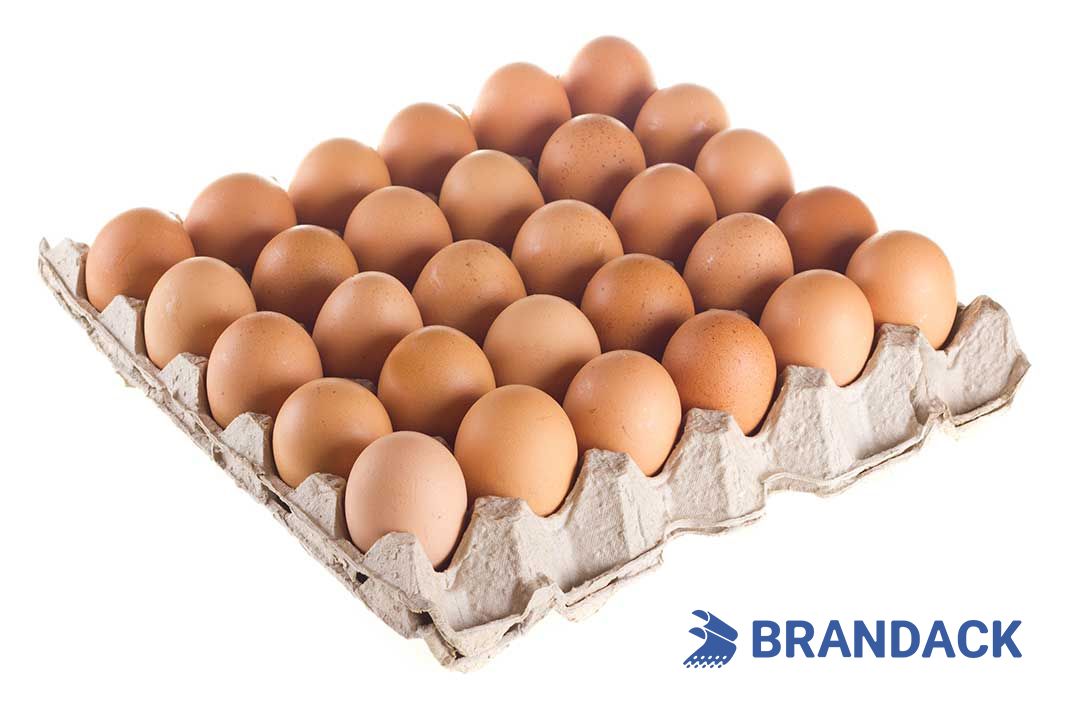 Custom Printed Egg Box Cartons Bulk with Flat Tray Packaging