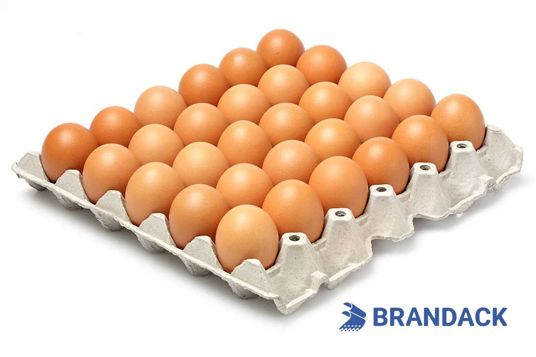 Custom Printed Egg Box Cartons Bulk with Flat Tray Packaging