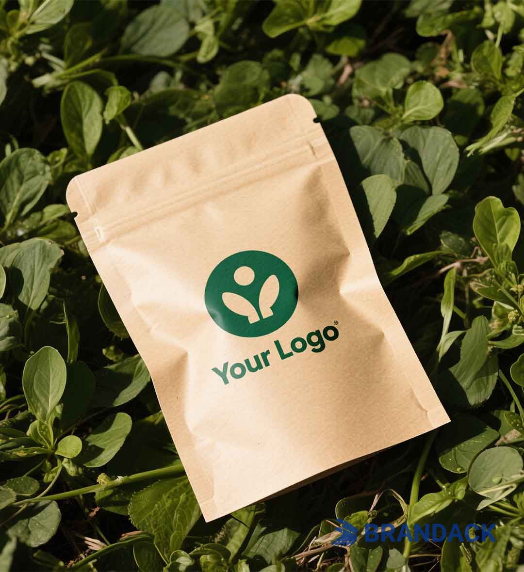 Eco-friendly Biodegradable Kraft Stand Up Pouches to Boost Your Brand