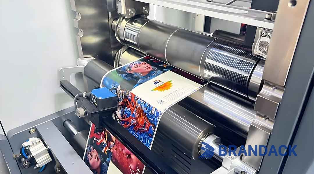 Custom Printed Stickers with Design Service Tailored to Your Brand