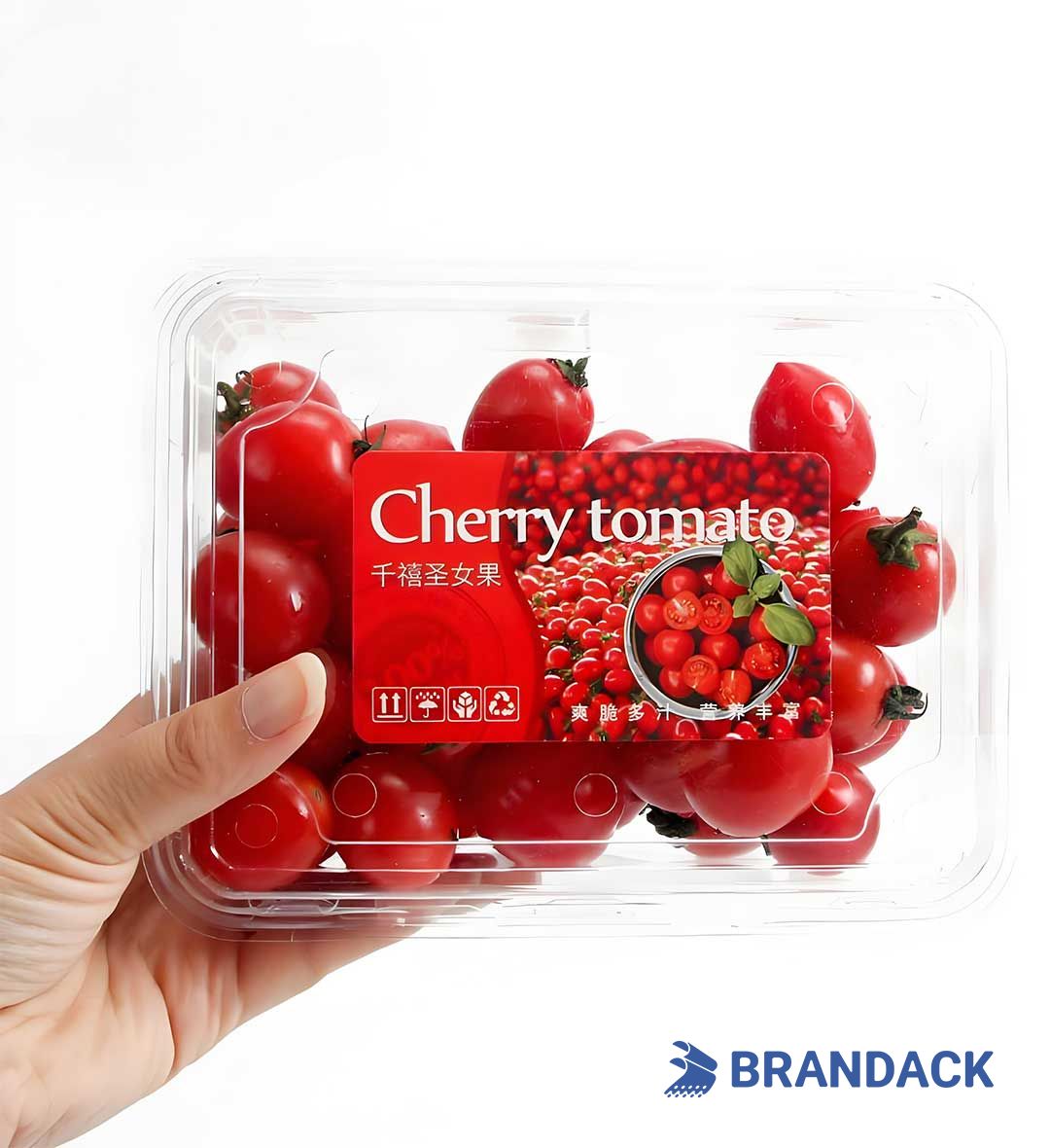 Custom Large Personalised Vinyl Stickers Printing at Low Price