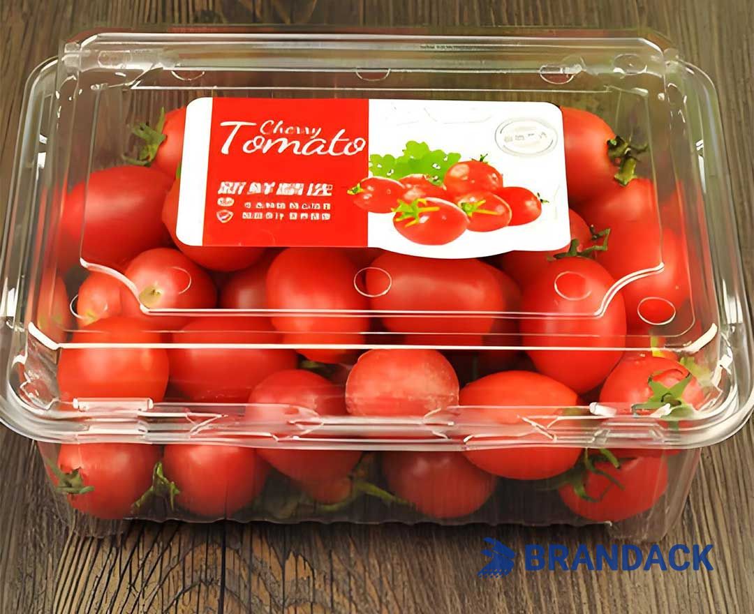 Custom Large Personalised Vinyl Stickers Printing at Low Price