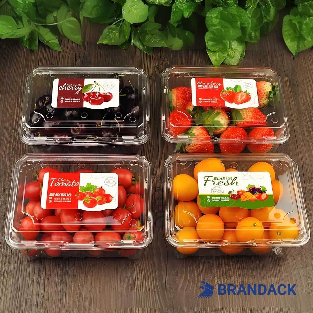 Custom Large Personalised Vinyl Stickers Printing at Low Price