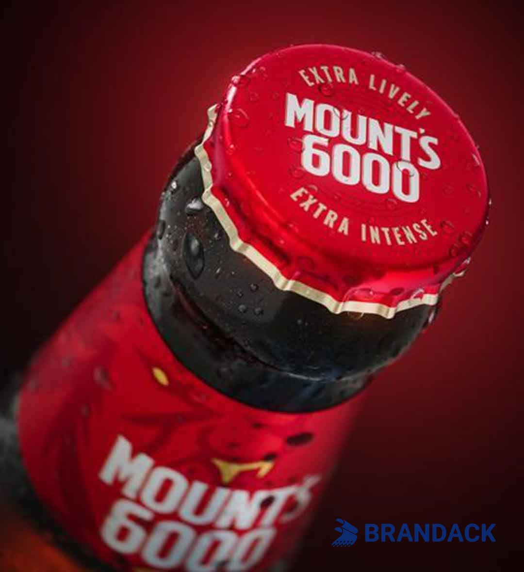Custom Beer Bottle Stickers Printing with Design Service Custom Beer Bottle Stickers Printing with Design Service