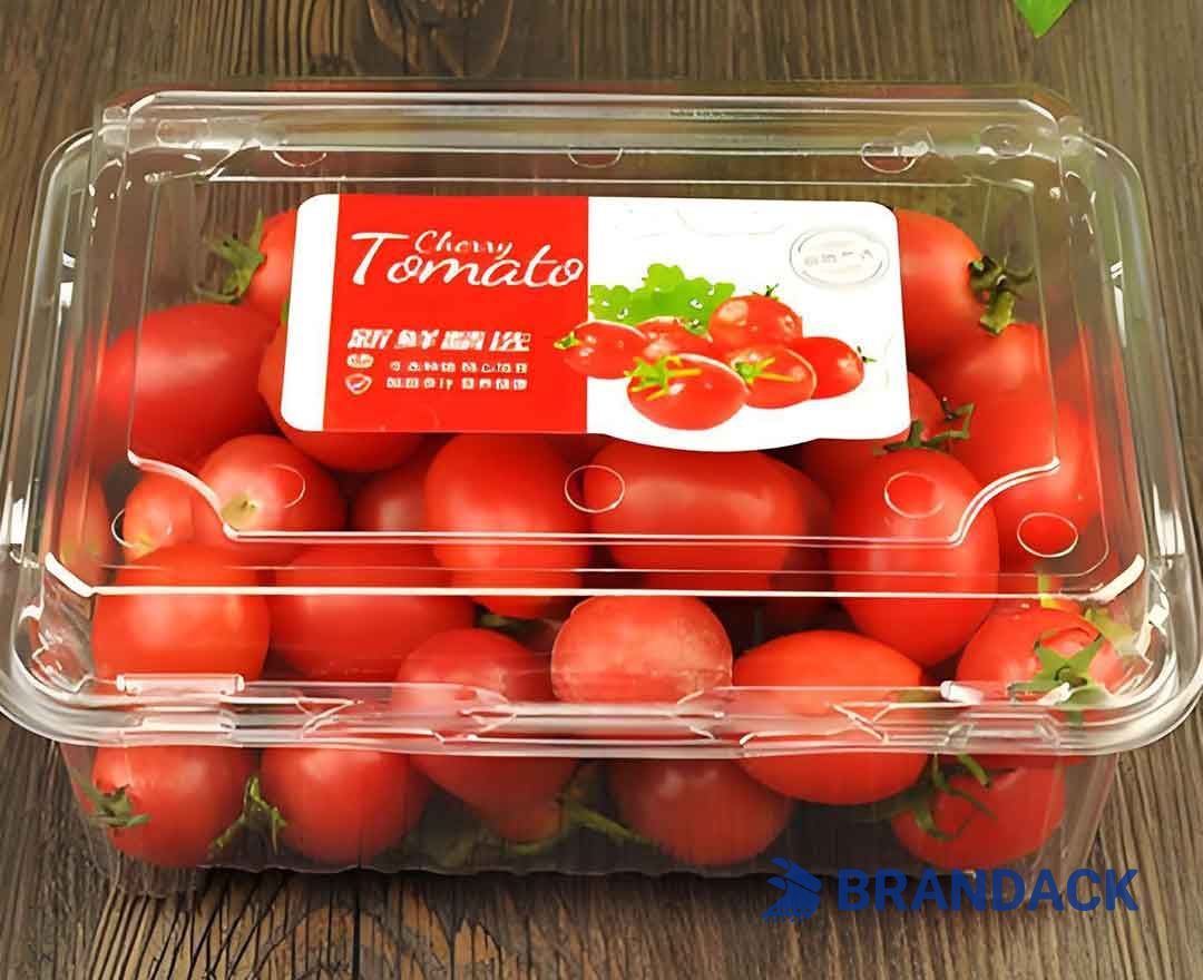 Custom Adhesive Product Sticker Labels with Packaging Design Service