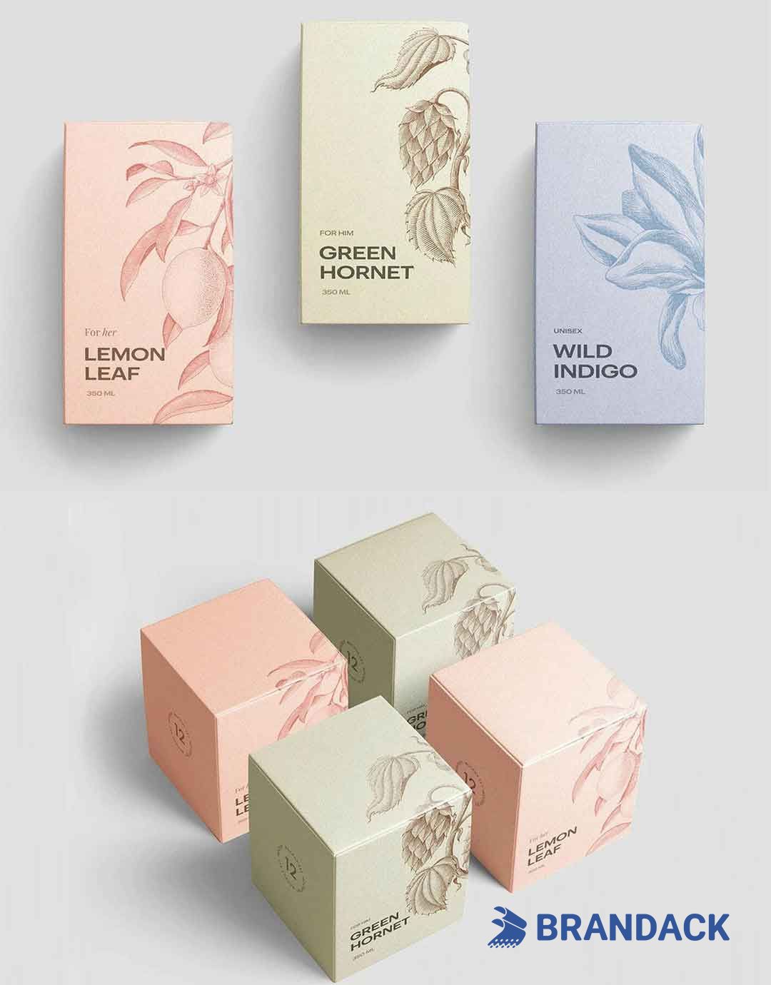 Cardboard Packing Boxes Cardboard Packing Boxes