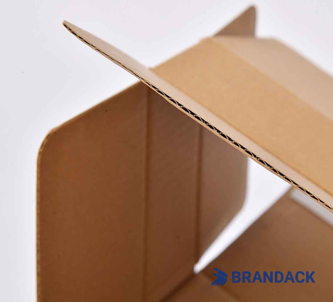 Branded Cardboard Carton Box Pack | Custom Printed Cardboard Boxes with Logo