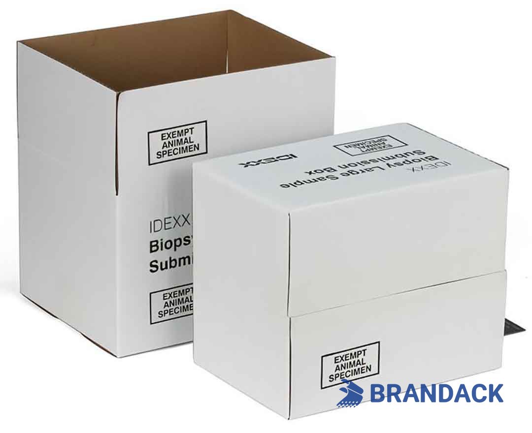 Custom Printed Shipping Delivery Boxes with Design Service