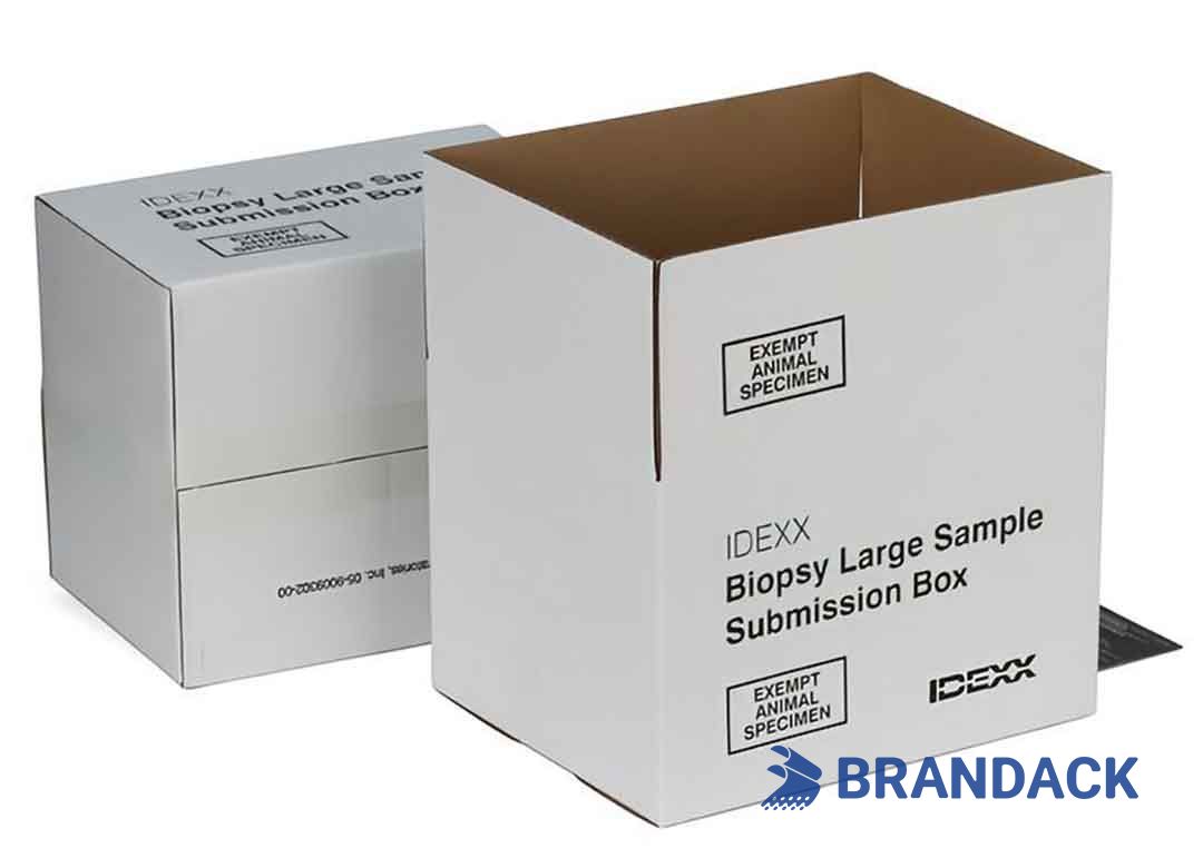Custom Printed Shipping Delivery Boxes with Design Service