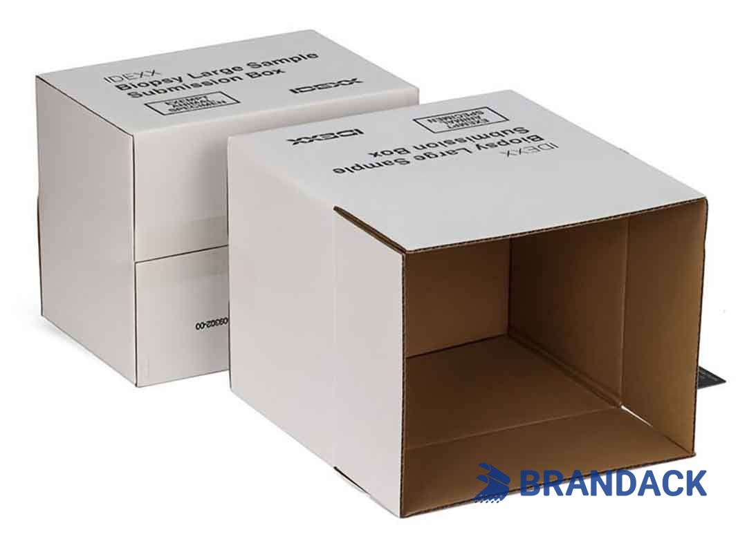Custom Printed Shipping Delivery Boxes with Design Service
