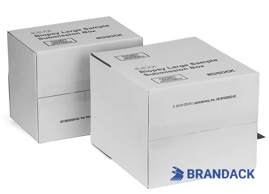 Custom Printed Shipping Delivery Boxes with Design Service