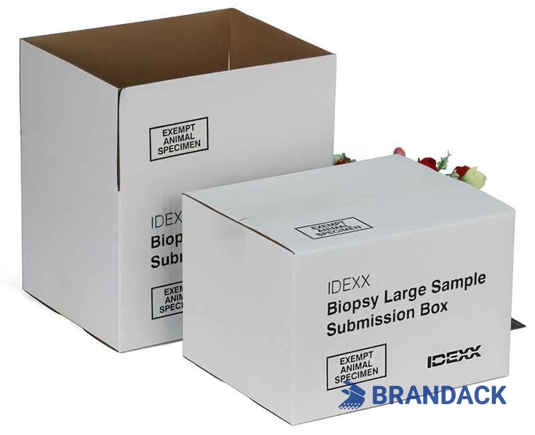 Custom Printed Shipping Delivery Boxes with Design Service