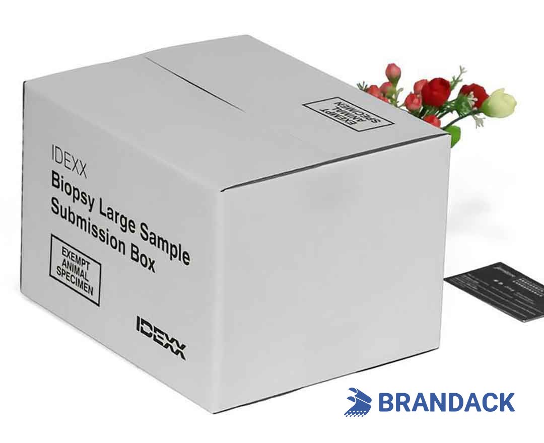 Custom Printed Shipping Delivery Boxes with Design Service