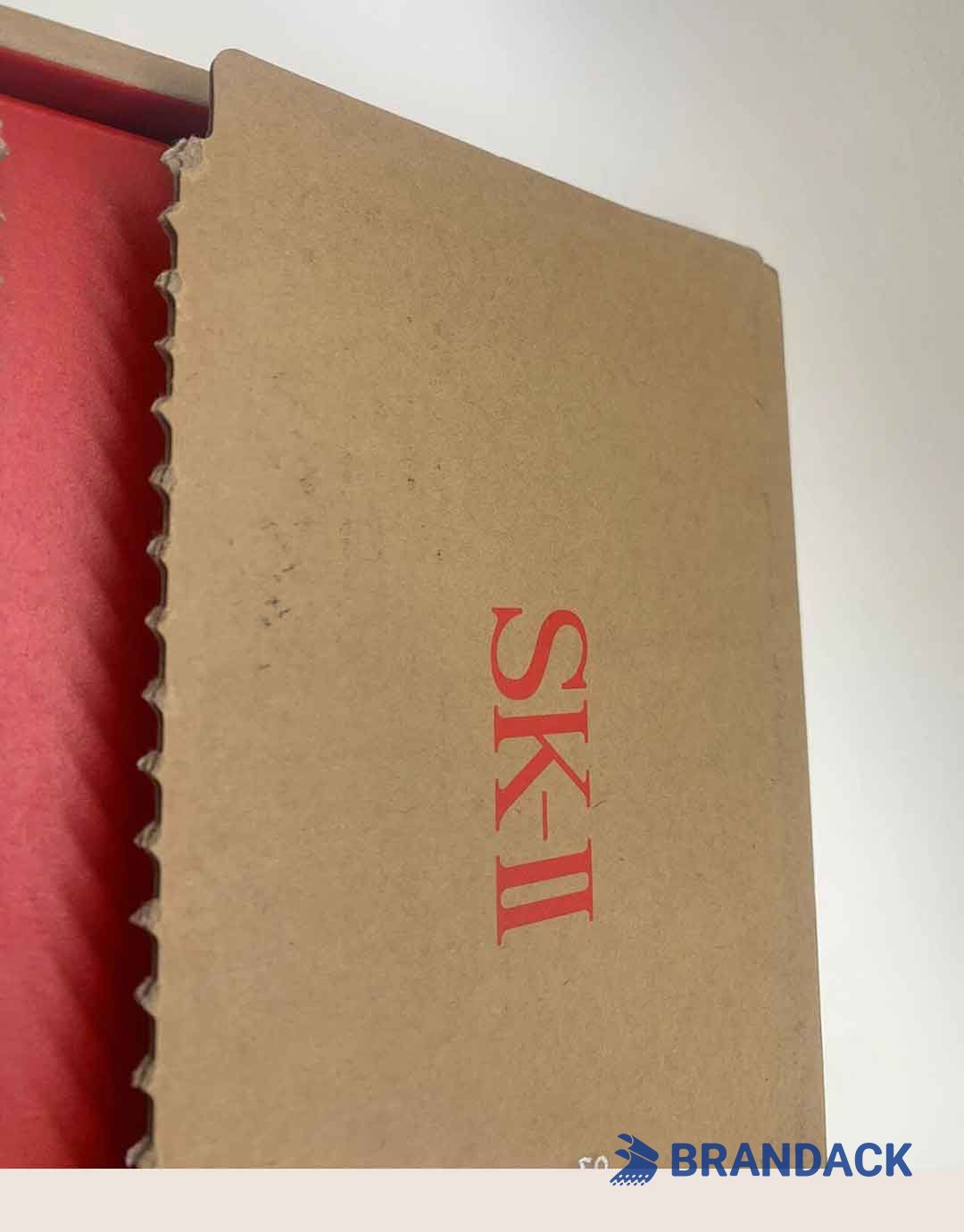 Custom Printed Shipping Delivery Boxes with Design Service