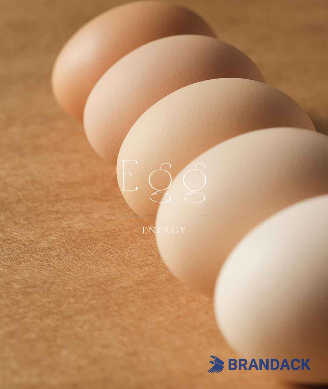 Custom Personalized Egg Corrugated Carton Box Manufacturer Custom Personalized Egg Corrugated Carton Box Manufacturer