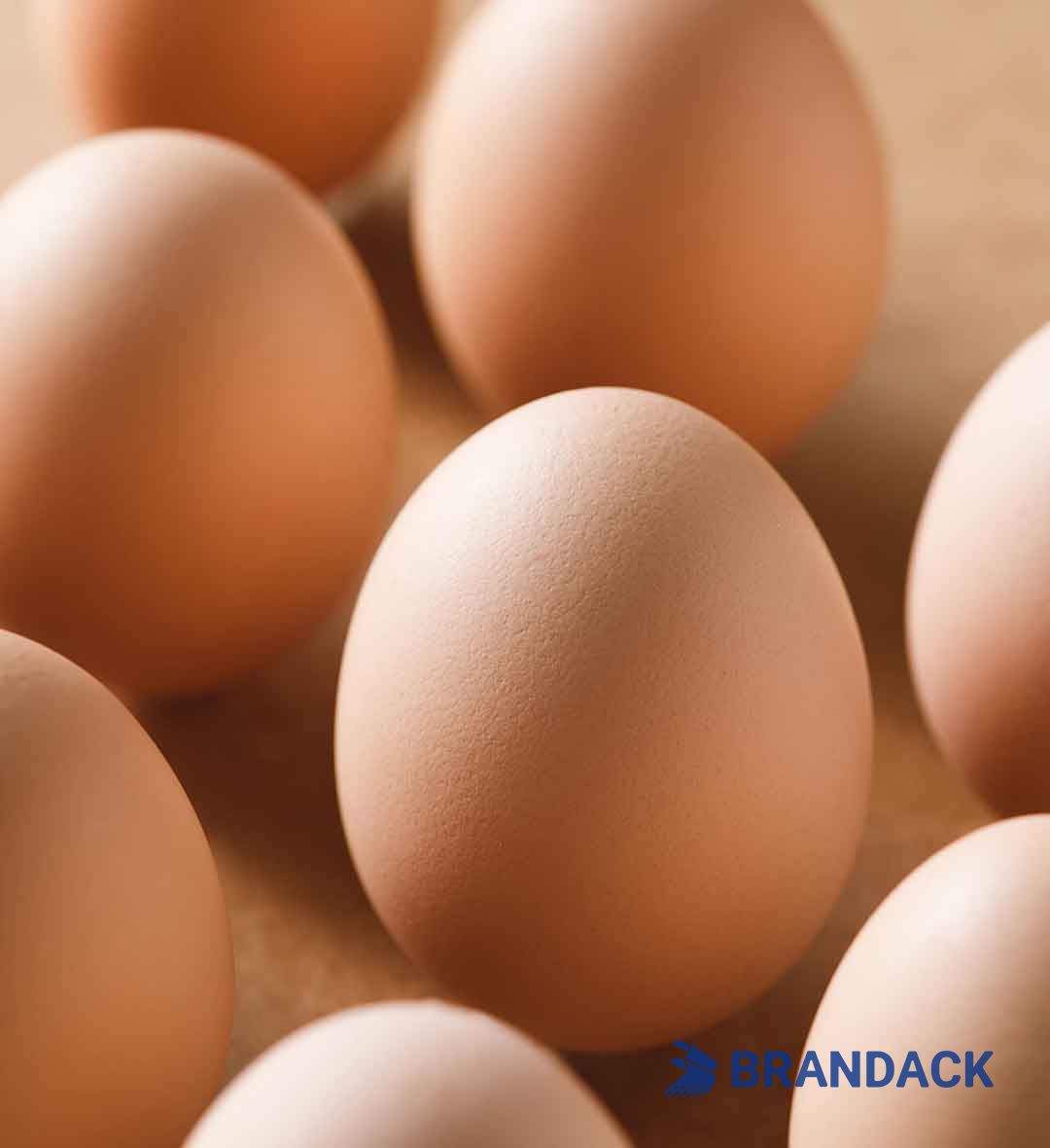 Custom Personalized Egg Corrugated Carton Box Manufacturer Custom Personalized Egg Corrugated Carton Box Manufacturer