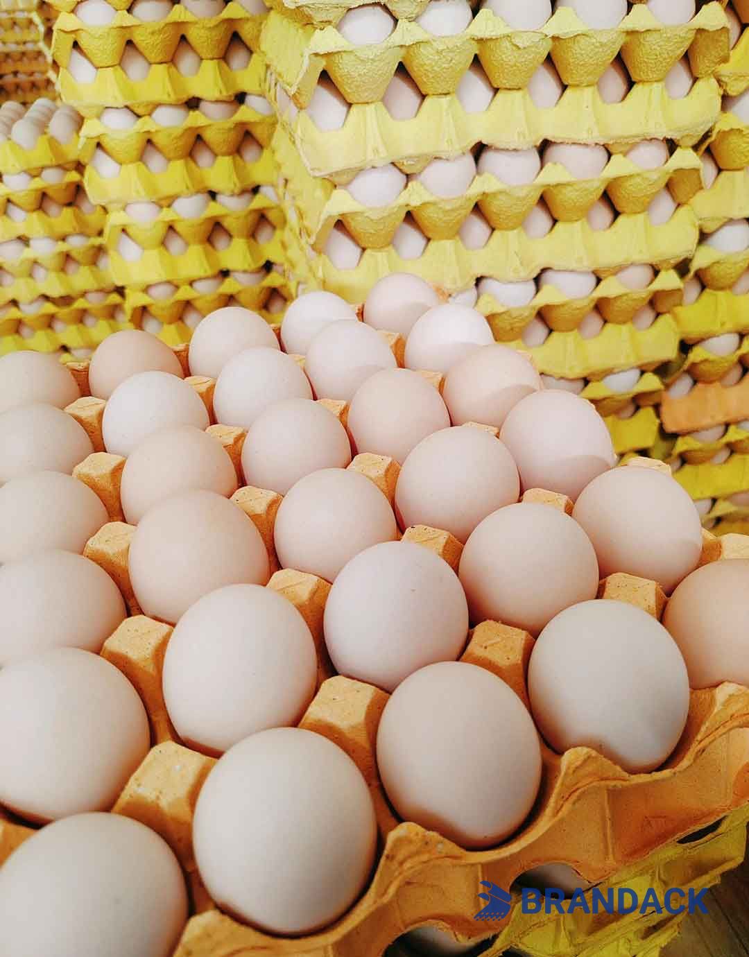 Custom Personalized Egg Corrugated Carton Box Manufacturer Custom Personalized Egg Corrugated Carton Box Manufacturer