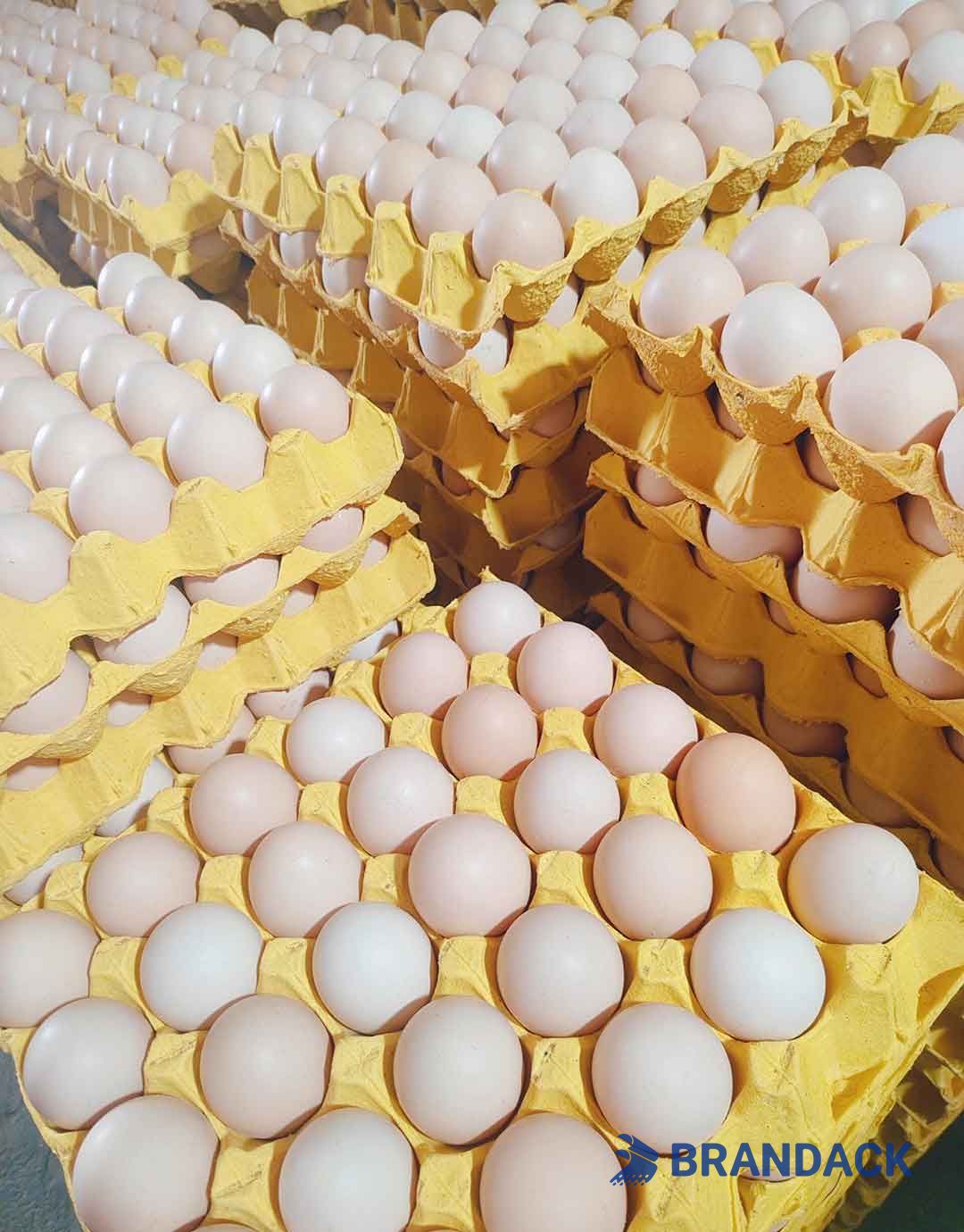 Custom Personalized Egg Corrugated Carton Box Manufacturer Custom Personalized Egg Corrugated Carton Box Manufacturer