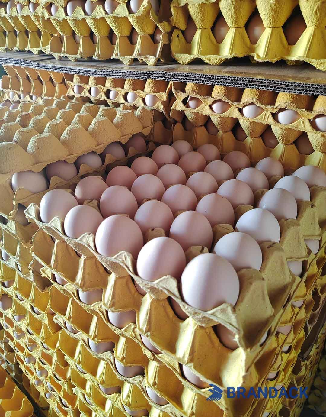 Custom Personalized Egg Corrugated Carton Box Manufacturer Custom Personalized Egg Corrugated Carton Box Manufacturer