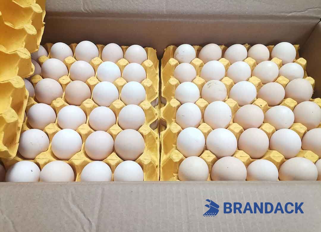 Custom Personalized Egg Corrugated Carton Box Manufacturer Custom Personalized Egg Corrugated Carton Box Manufacturer