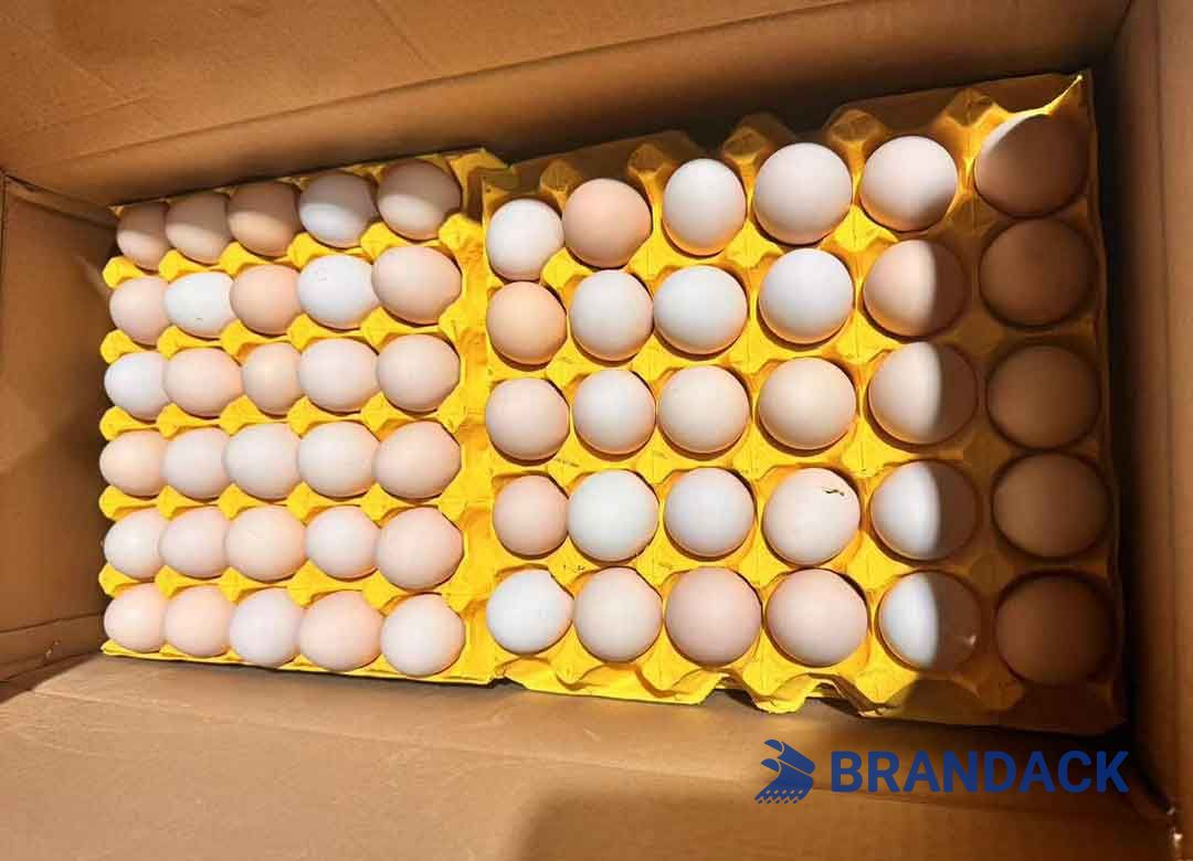 Custom Personalized Egg Corrugated Carton Box Manufacturer Custom Personalized Egg Corrugated Carton Box Manufacturer