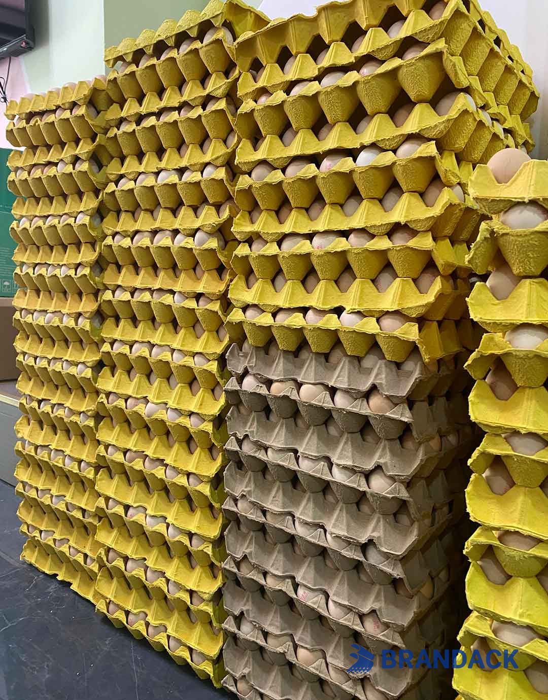 Custom Personalized Egg Corrugated Carton Box Manufacturer Custom Personalized Egg Corrugated Carton Box Manufacturer