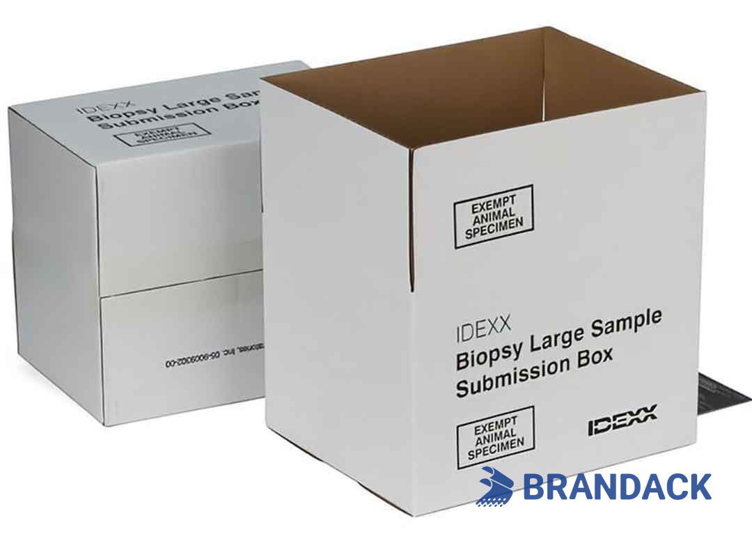 Custom Big Tall White Corrugated Boxes Tailored to Brand Custom Big Tall White Corrugated Boxes Tailored to Brand
