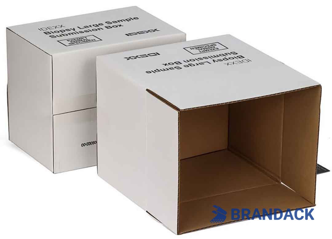 Custom Big Tall White Corrugated Boxes Tailored to Brand Custom Big Tall White Corrugated Boxes Tailored to Brand