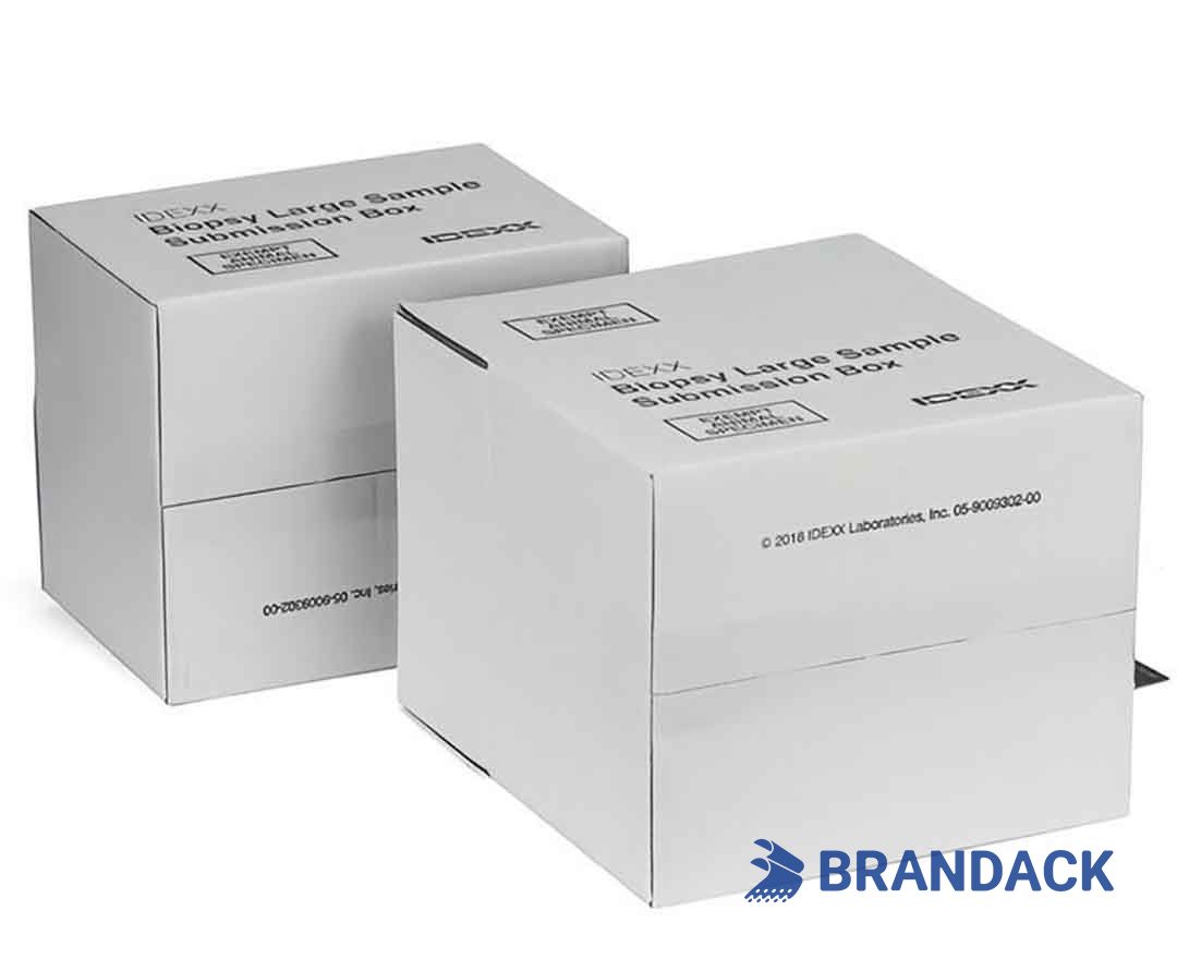 Custom Big Tall White Corrugated Boxes Tailored to Brand Custom Big Tall White Corrugated Boxes Tailored to Brand