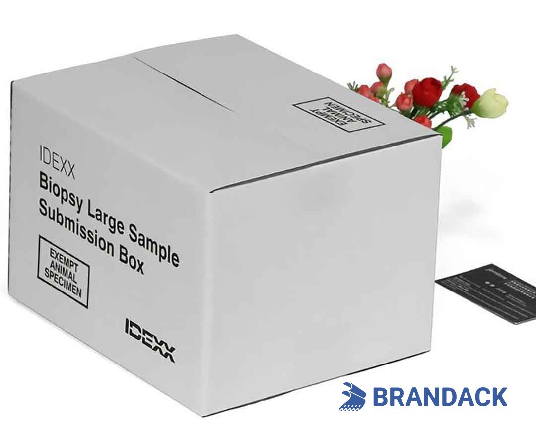 Custom Big Tall White Corrugated Boxes Tailored to Brand Custom Big Tall White Corrugated Boxes Tailored to Brand