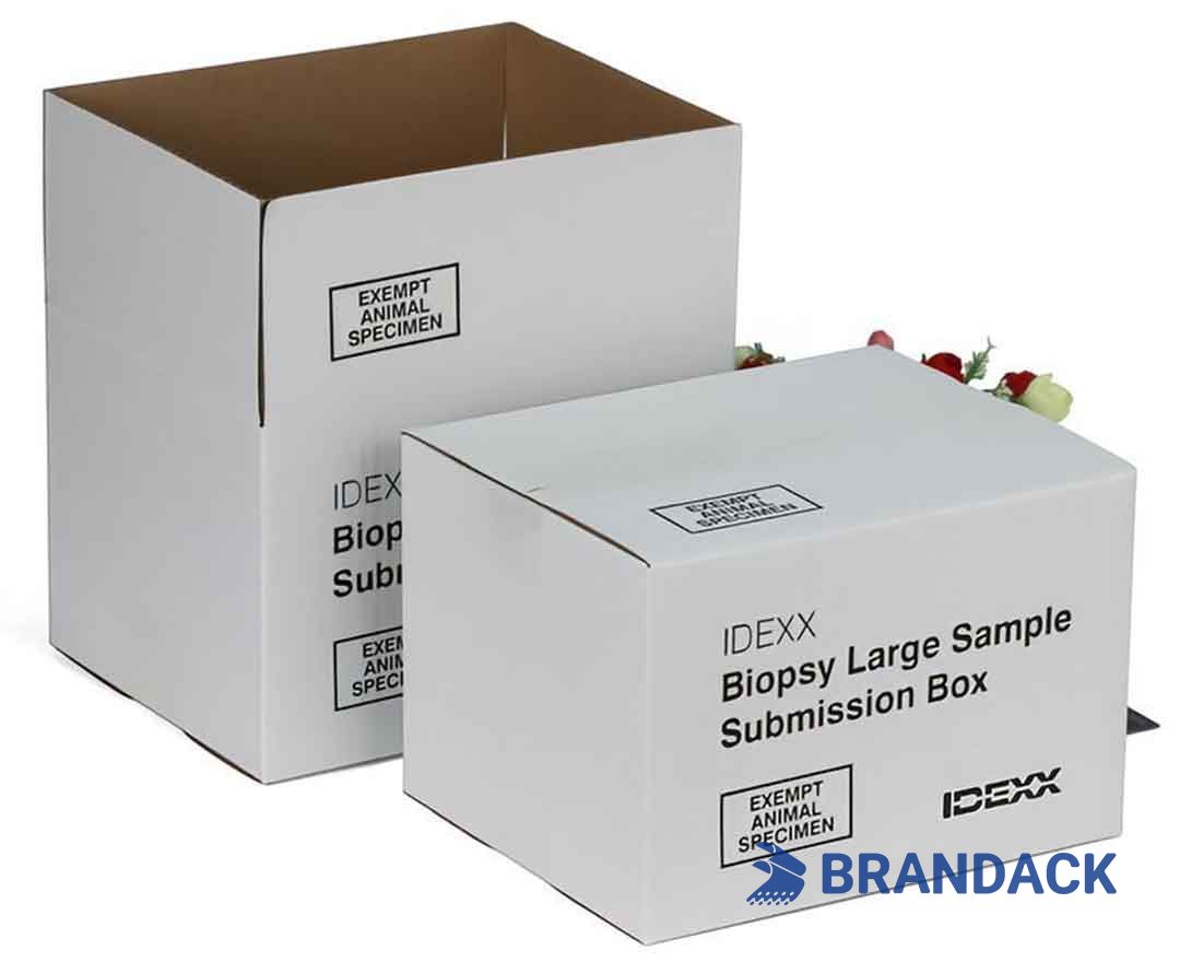 Custom Big Tall White Corrugated Boxes Tailored to Brand Custom Big Tall White Corrugated Boxes Tailored to Brand