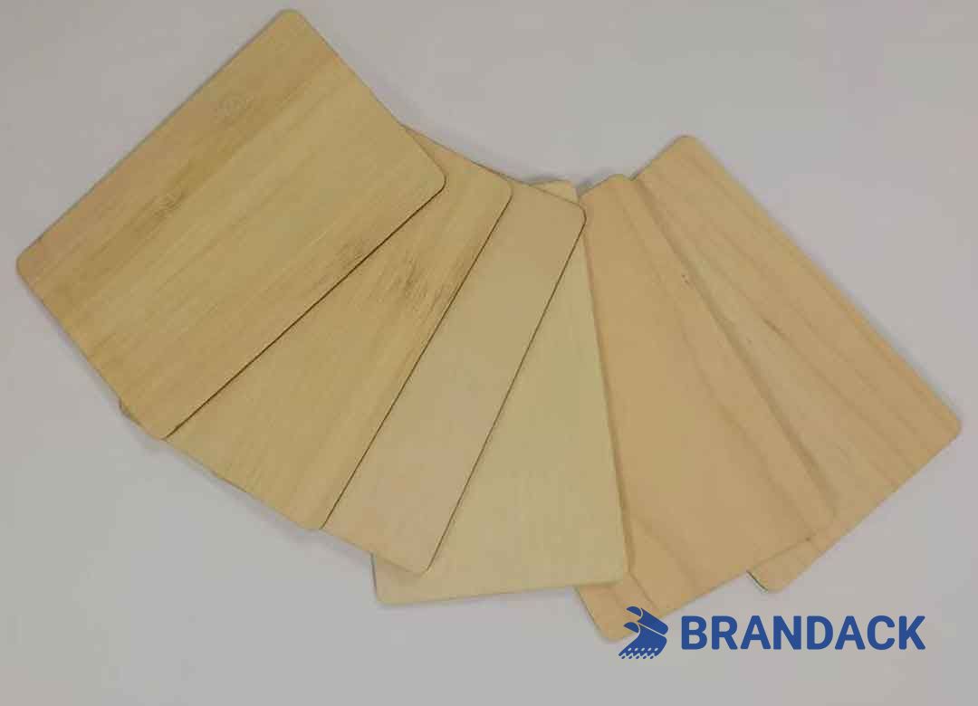 Custom RFID Branded Hotel Key Cards