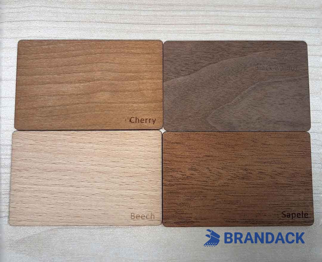 Custom RFID Door Access Control Card for Hotels