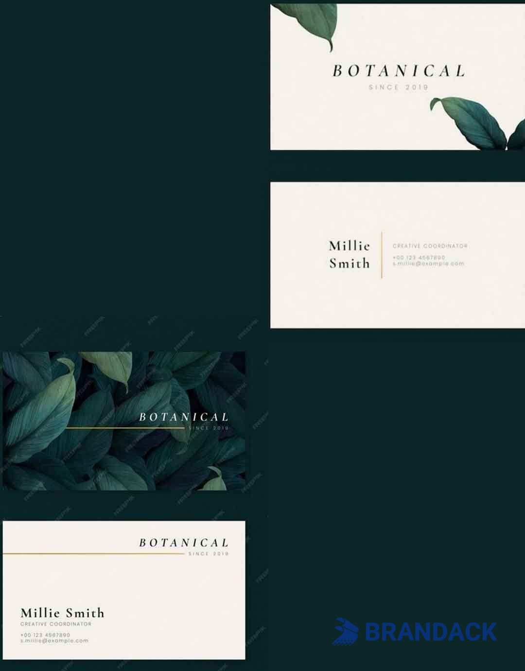 Business Card Design Online Free and Printing to Save Cost