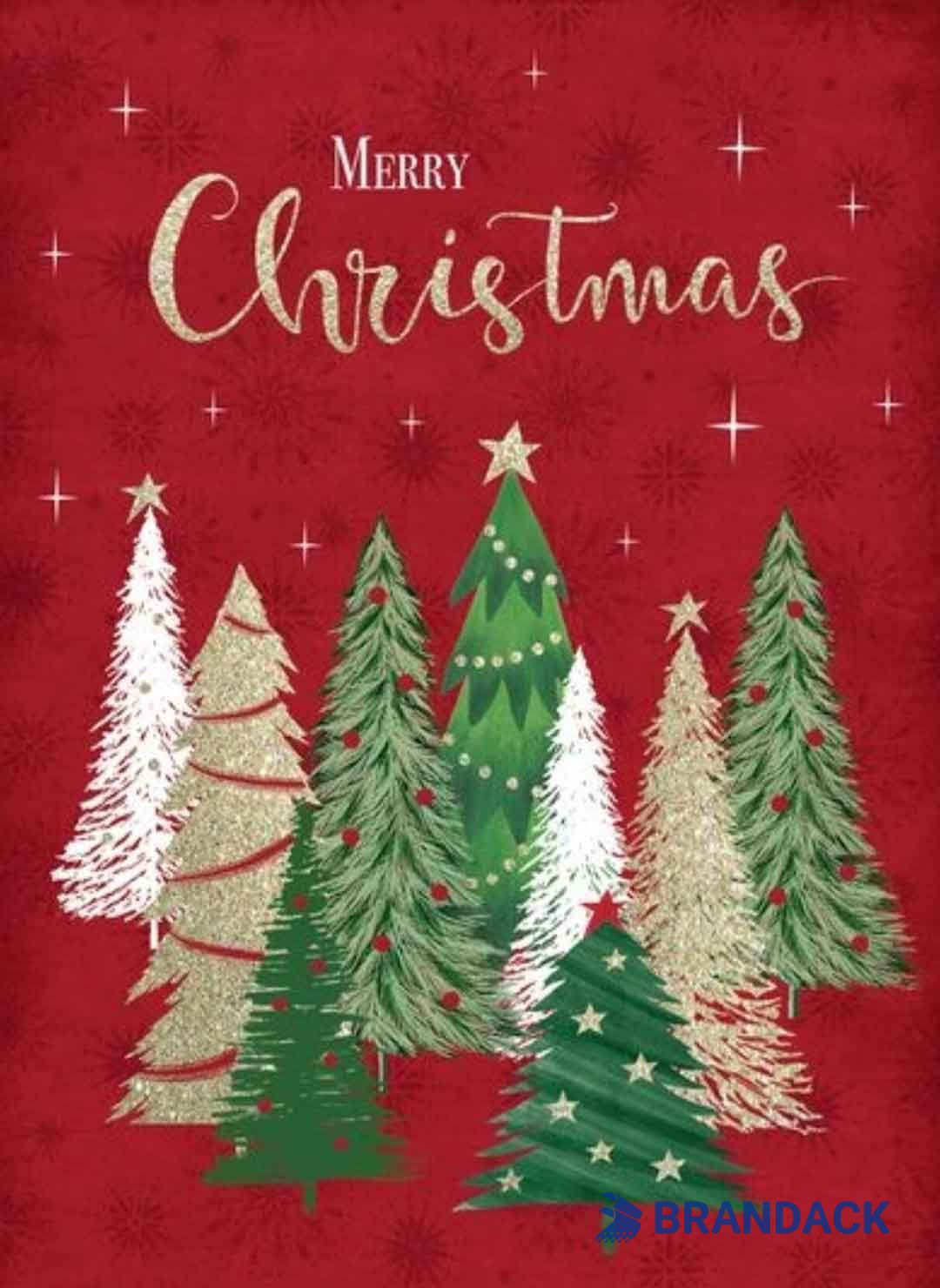 Custom Christmas Greeting Cards Printing Your Own Design Custom Christmas Greeting Cards Printing Your Own Design