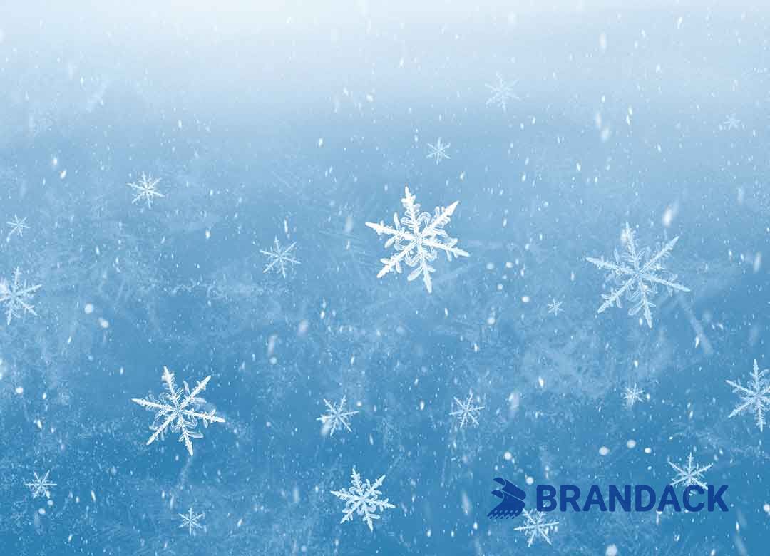 Christmas Eve Snow Popper Custom with Design Service