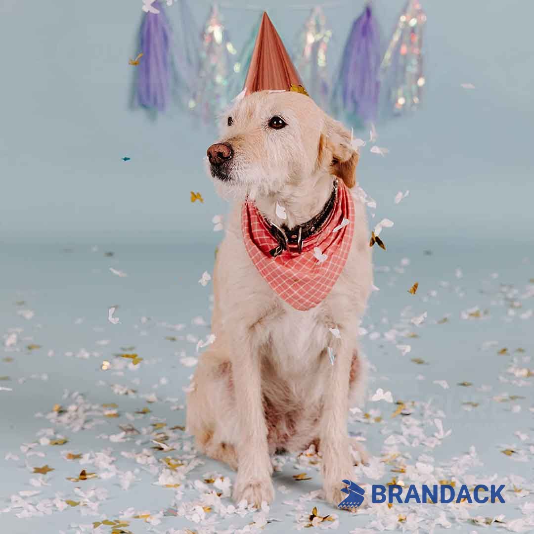 Wedding Party Streamer Poppers Custom Tailored to Brand