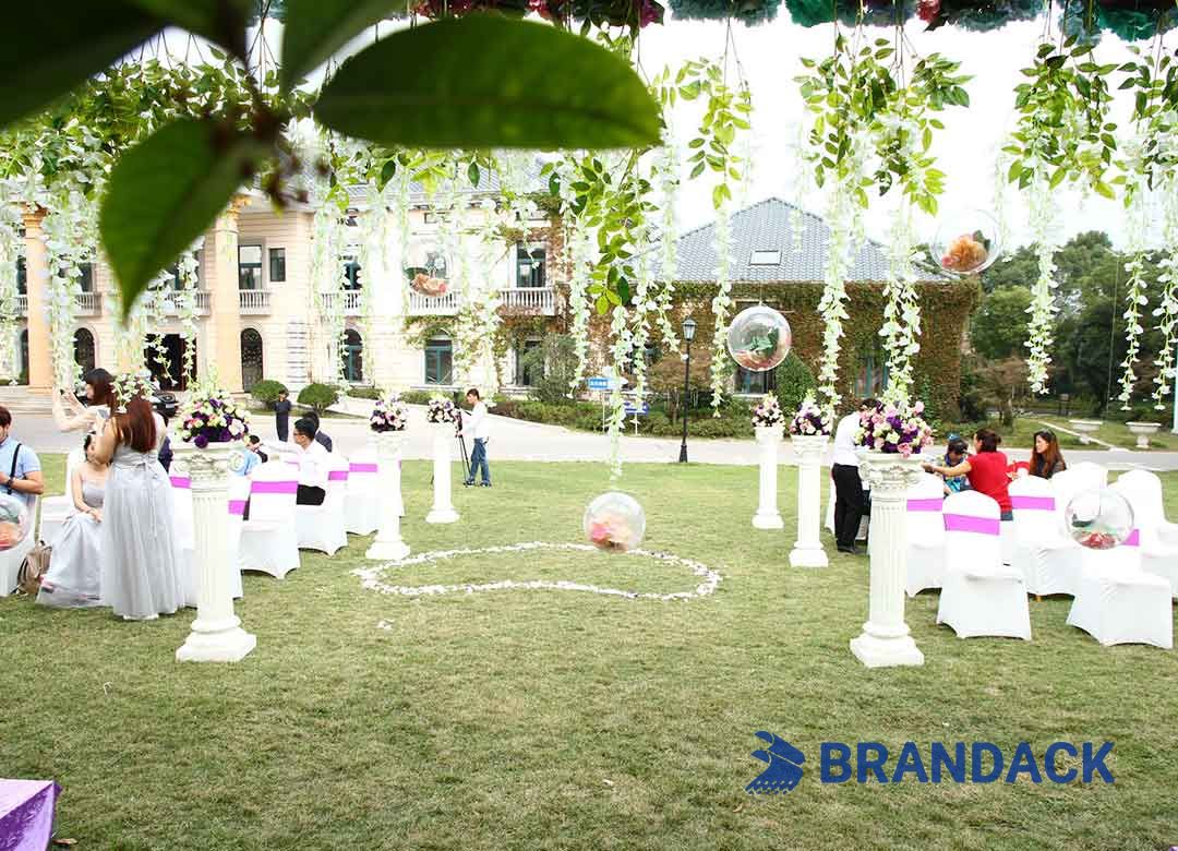 Party Favor Popper Supplier with Design and Printing Services