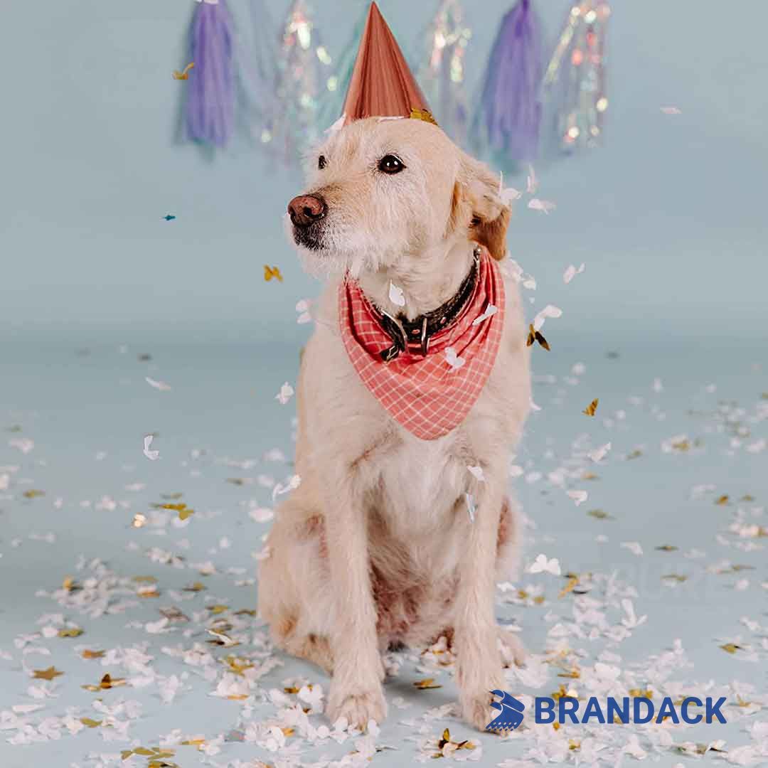 Wedding Party Confetti Poppers Bespoke Factory