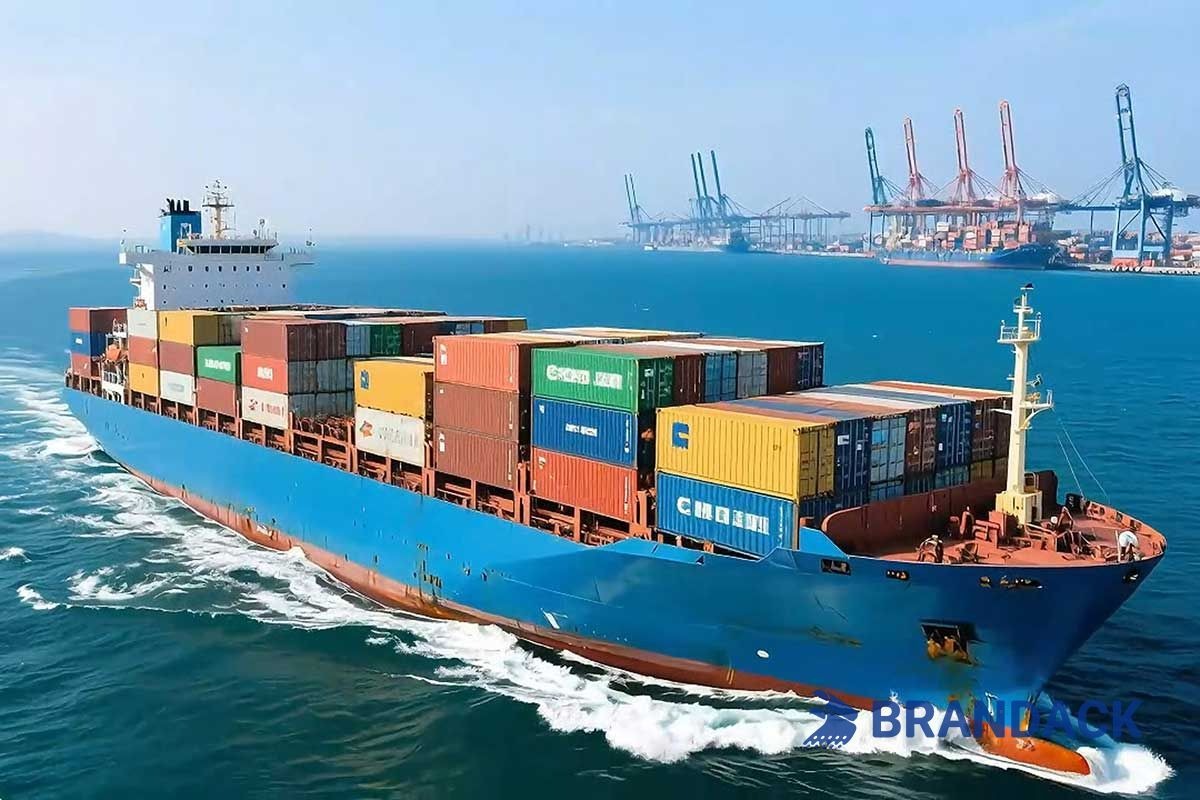 Ocean Freight 01