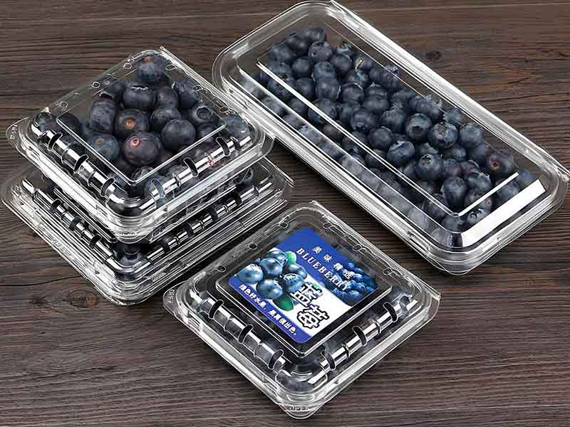 Blueberry Fruit Packaging Boxes, 5 10 LB Blueberry Plastic Packaging Containers, Custom Package of Blueberries